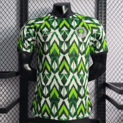 Maglia Authentic Nigeria Verde I 2022/2023