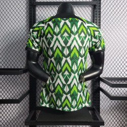 Maglia Authentic Nigeria Verde I 2022/2023