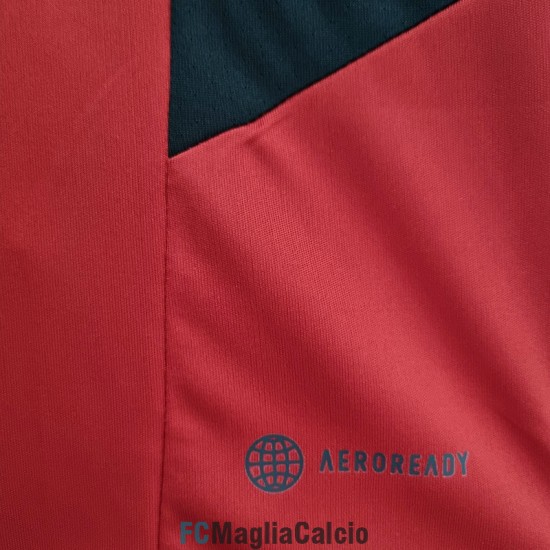 Maglia Flamengo Training Rosso I 2022/2023