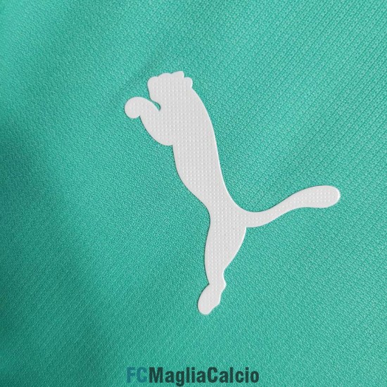 Maglia Palmeiras Retro Gara Third 2019/2020