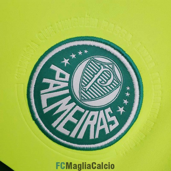 Maglia Palmeiras Retro Verde 2010/2011