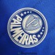 Maglia Palmeiras Special Edition Azul I 2023/2024